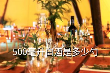 500毫升白酒是多少勺