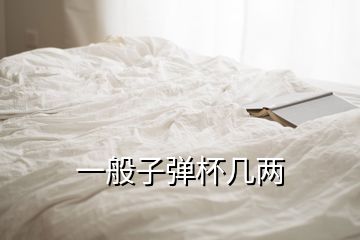 一般子弹杯几两