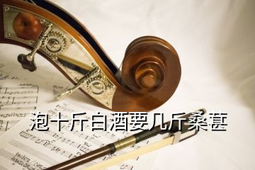 泡十斤白酒要几斤桑葚