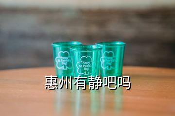 惠州有静吧吗