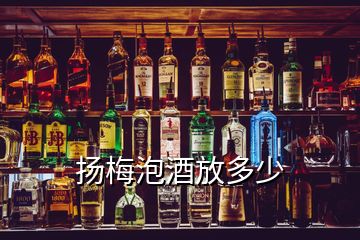 扬梅泡酒放多少