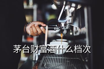 茅台财富酒什么档次