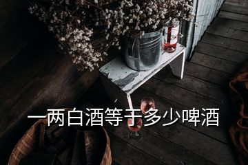 一两白酒等于多少啤酒