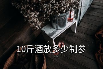 10斤酒放多少制参