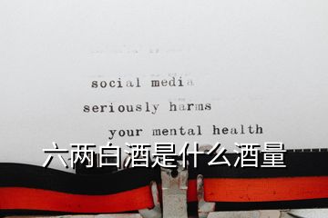 六两白酒是什么酒量