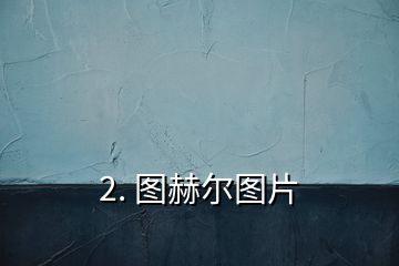 2. 图赫尔图片