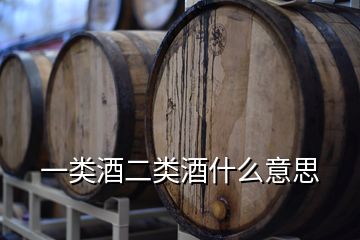 一类酒二类酒什么意思