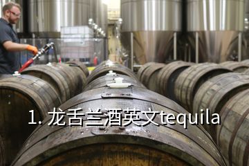 1. 龙舌兰酒英文tequila