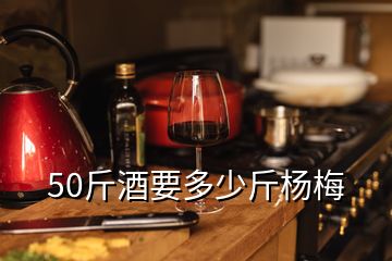 50斤酒要多少斤杨梅