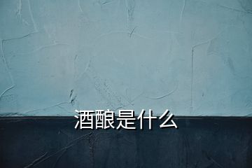 酒酿是什么