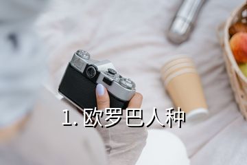 1. 欧罗巴人种