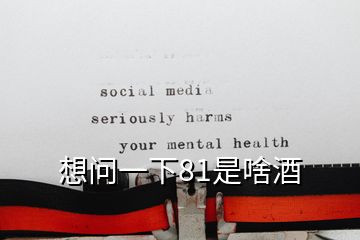 想问一下81是啥酒