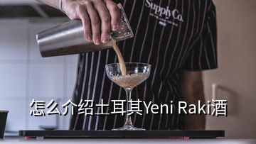 怎么介绍土耳其Yeni Raki酒