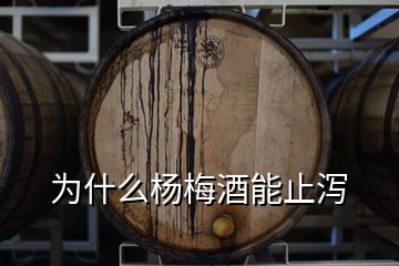 为什么杨梅酒能止泻