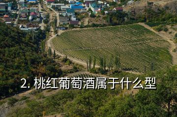 2. 桃红葡萄酒属于什么型