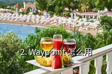 2. Waypoint 怎么用