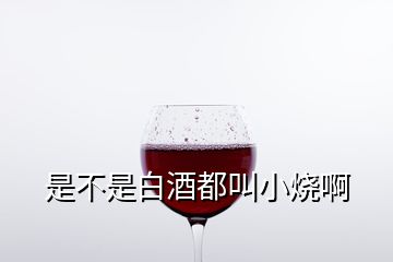 是不是白酒都叫小烧啊