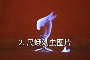 2. 尺蛾幼虫图片