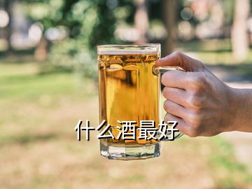 什么酒最好