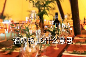 酒规格 16什么意思