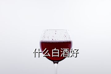 什么白酒好