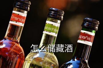 怎么储藏酒