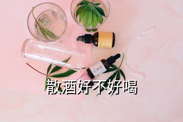 散酒好不好喝