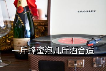 一斤蜂蜜泡几斤酒合适