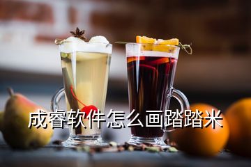 成睿软件怎么画踏踏米