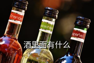 酒里面有什么