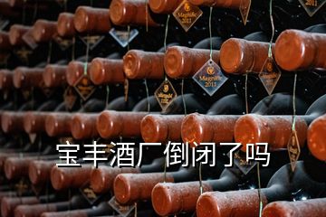 宝丰酒厂倒闭了吗