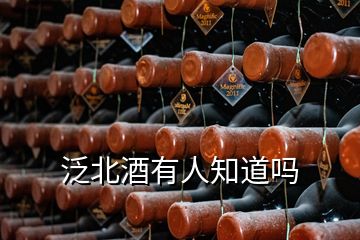 泛北酒有人知道吗