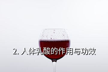 2. 人体乳酸的作用与功效