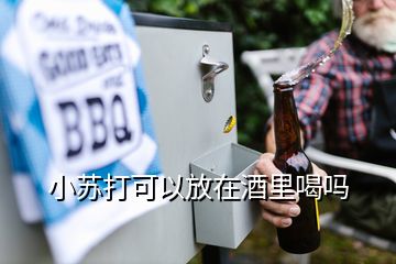 小苏打可以放在酒里喝吗