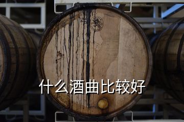 什么酒曲比较好