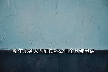 哈尔滨各大啤酒饮料公司企划部电话