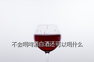 不会喝啤酒白酒还可以喝什么