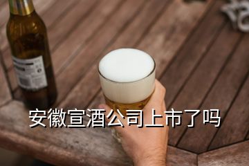 安徽宣酒公司上市了吗