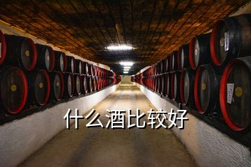 什么酒比较好