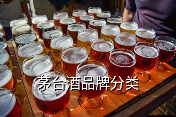 茅台酒品牌分类