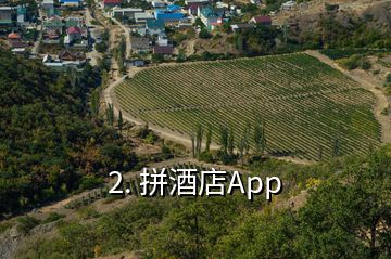 2. 拼酒店App