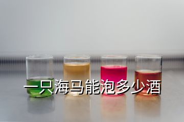 一只海马能泡多少酒