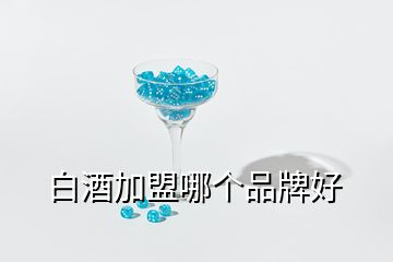 白酒加盟哪个品牌好