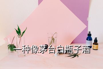 一种像茅台白瓶子酒