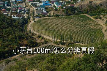 小茅台100ml怎么分辨真假