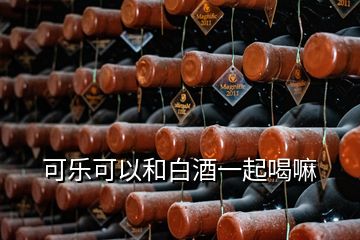 可乐可以和白酒一起喝嘛