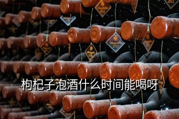 枸杞子泡酒什么时间能喝呀