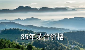 85年茅台价格