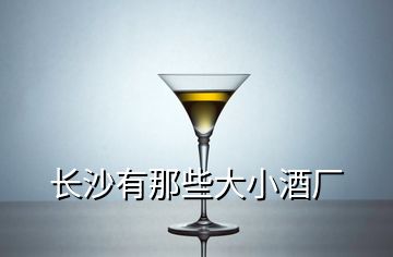 长沙有那些大小酒厂