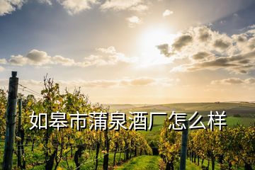 如皋市蒲泉酒厂怎么样